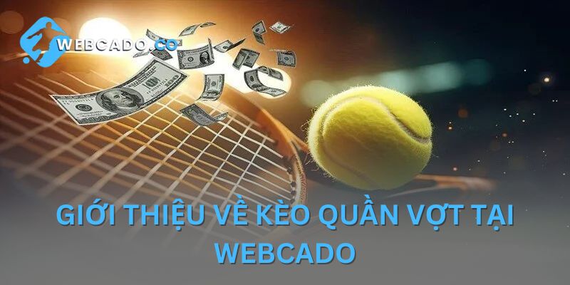 Tổng quan thông tin về cá cược tennis tại Webcado
